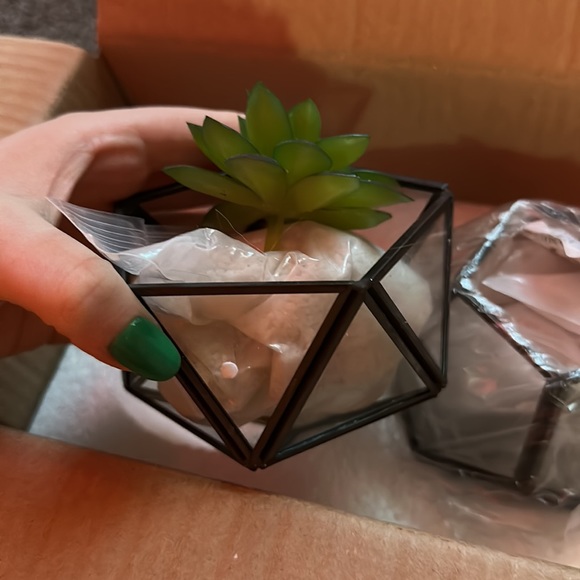 plant decor - Picture 3 of 5